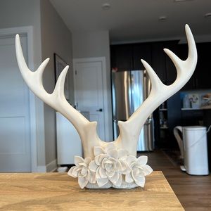 Cute Decorative Antlers with Succulents
